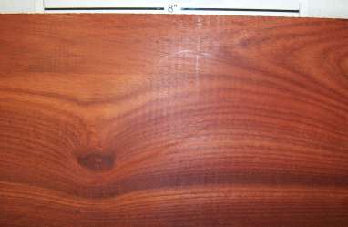 bloodwood